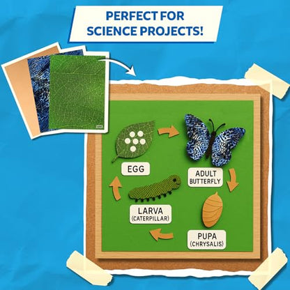 Skillmatics Life Science Construction Paper for Kids – DIY Craft Activity - color: Life Science, size: 60 Sheets
