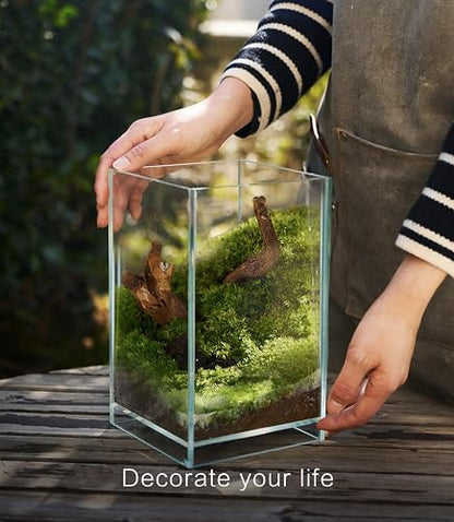 27 PCS Glass Plant Terrarium Kit with LED Grow Light– DIY Moss Terrarium Kit for Adults, Mini Garden Set for Succulent, Real Live Moss, and Air Plants – Home Office Decoration & Unique Gift fo Friend - size: Tall Cube Set