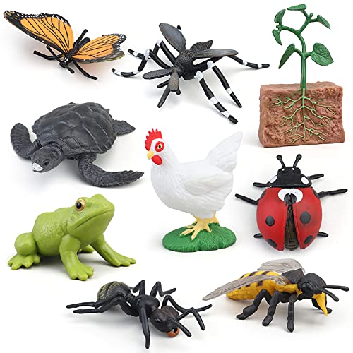 Montessori Life Cycle Animal Figurines Learning & Education Toys, Plastic Insect Life Cycle Toys for Kids, Preschool Learning Activities (Plant Bee Ant) - color: Plant Bee Ant