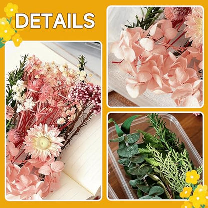 2PCS Dried Flowers Kit, Natural Dried Flowers Kit for DIY Crafts, Scrapbook, Card Making (Stye2_13) - color: Stye2_13
