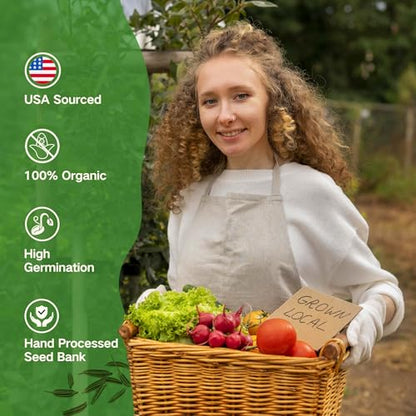 Lush&Dew Raised Garden Bed Heirloom Seed Bank, 32 Type 30000+ Non-GMO Seeds - style: Raised Garden Beds