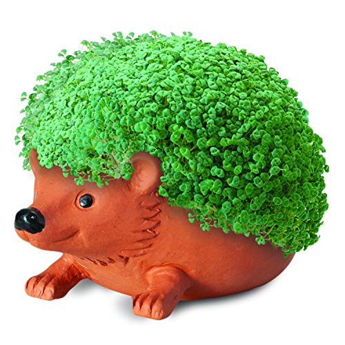 Chia Pet Hedgehog with Seed Pack, Decorative Pottery Planter, Easy to Do and Fun to Grow, Novelty Gift, Perfect for Any Occasion, Terra Cotta - style: Hedgehog