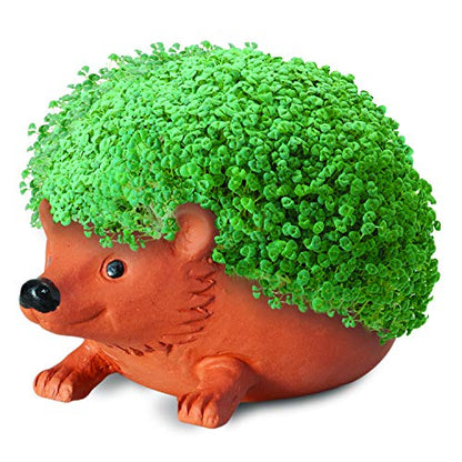 Chia Pet Hedgehog with Seed Pack, Decorative Pottery Planter, Easy to Do and Fun to Grow, Novelty Gift, Perfect for Any Occasion, Terra Cotta - style: Hedgehog