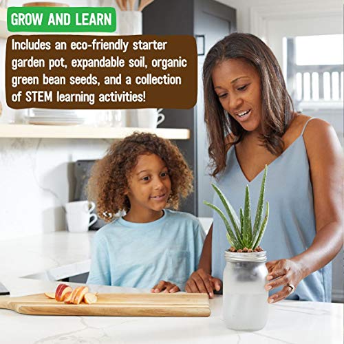 Back to the Roots Self Watering Grow Kit - Glass Hydroponic Planters for Succulents and Cacti Self-Watering System (Pack of 3) - size: 1 Count (Pack of 3), style: Self-Watering Succulent Kit