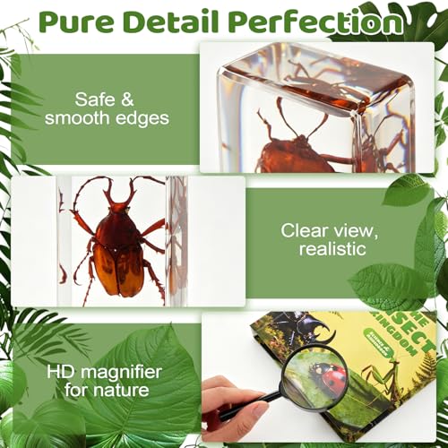 16 Pcs Real Insect in Resin Specimens Set with Magnifying Glass and Audiobooks, Various Butterflies, Bugs and Beetles Collection for Science Education, Classroom, Biology, Preschool, Home Display