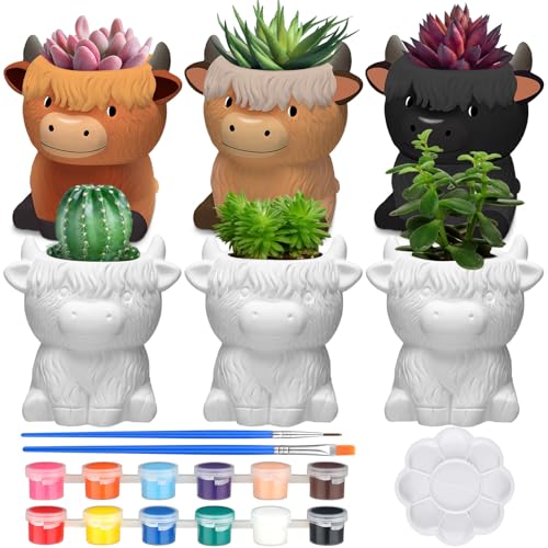 Beeveer 6 Pcs Ready to Paint Your Own Highland Cow Succulent Ceramic Pots - style: Highland Cow
