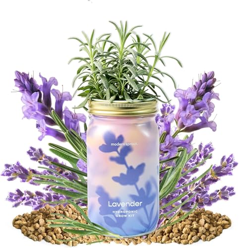 Modern Sprout Mason Garden Jar-Self-Watering Kit - Lavender+Rosemary - color: Lavender+rosemary, size: Garden Jars