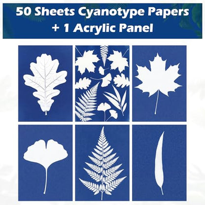 Sun Print Cyanotype Paper Kit, 50 Sheets A6 Cyanotype Papers with 1 Sheet Acrylic Panel, High Sensitive Nature Solar Activated Sun Printing Art Supplies for Arts Crafts DIY Project