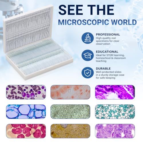Tellegloww 120 Pcs Microscope Slides with Specimens for Kids & Students