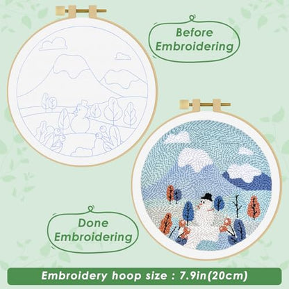 ERKOON Punch Needle Kit Adults Beginners, DIY Easy Landscapes Embroidery Set for Starter Art Craft, Needling Punch Project with Patterns, Tools, Yarns, Hoop, Instruction (Winter) - color: Winter
