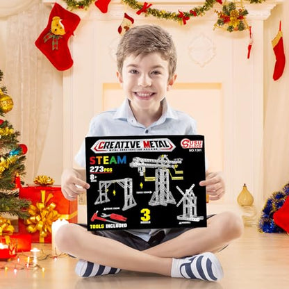 BESTYMXY Building Toys Model Set 273PCS - Tower Crane, Frame Crane & Windmill 3 in 1 Metal Kit, DIY Building STEM Projects, Educational Assembly Metal Toys