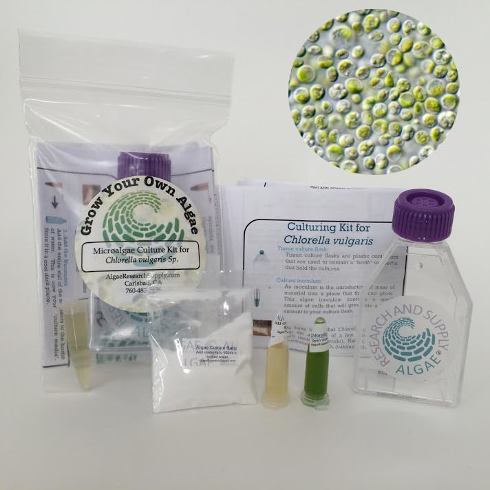 Algae Research Supply Algae Culture Kit Chlorella Vulgaris, Perfect for School Science Fairs/Projects, Experiments & Classrooms