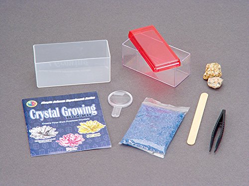 Toysmith Crystal Growing Kit, Colors May Vary