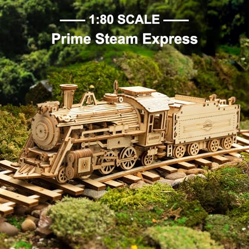 ROKR 3D Wooden Puzzle for Adults Mechanical Car Model-DIY Building Vehicle Kits-Brain Teaser Toys-Gift for Men Women on Birthday/Christmas Day (Steam Train Model with Carriage)