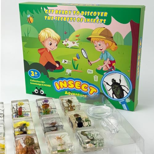 12 Pcs Insect Taxidermy in Resin, Interesting Microlandscape Insect Specimen Set for Back-to-School Gifts Oddities Bug Collection Paperweights Science Education Supplies