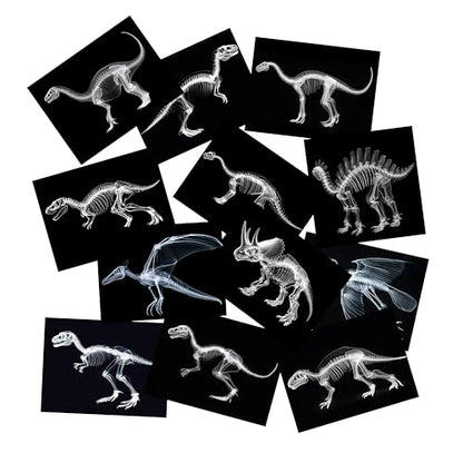 Animal X-Ray Set, Educational Science Kit, Light Table Accessory for Children (Dinosaurs) - style: Dinosaurs