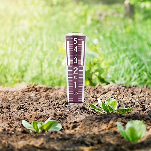 La Crosse 704-1531R-INT Large Magnifying Easy Read 5-Inch Capacity Acrylic Rain Gauge in Burgundy - color: Red
