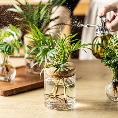 Plant Propagation Stations, 2 Style Glass Planter Terrariums, Propagation Vases for Plant, Plant Propagation Jars for Hydroponic Planter Home Office Tabletop Decoration (4)