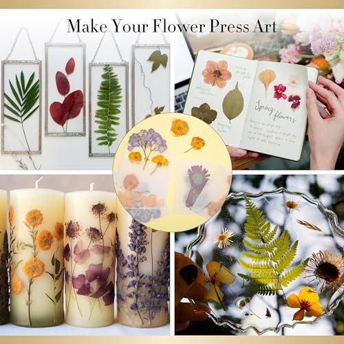 Aboofx Flower Press Kit for DIY Journal Bookmark Frame, 10" x 10" 10 Layers Wood Flower Pressing Kit with Storage Bags for Dried Flowers Plant Wedding Bouquet Preservation Kits, Gift for Craft Lovers - size: 10"x10"