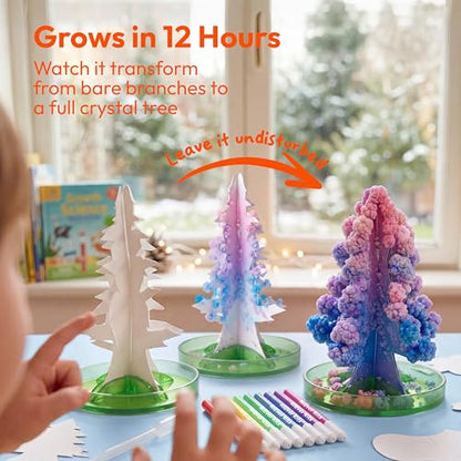 JOVA Klever Kits Crystal Land Growing Lab- Craft Kits for Kids Aged 8+ Science Gifts with 6 Unique Natural Elements and Light-Up Base, STEM Activities Birthday Gift