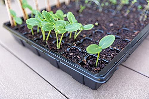 Gardzen Seed Starter Tray, 5 Pack Smiling Face Plant Germination Trays with Total 350-Cell, Seed Starter Kit with Humidity Vented Domes and Bases for Starting Vegetable Flower Herb Seeds 18" x 14" - size: 70-Cell White Eyes 5-Pack