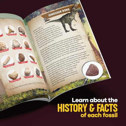 Real Fossil Dig Kit for Kids - Science Kits for Boys & Girls Age 8-12 Years