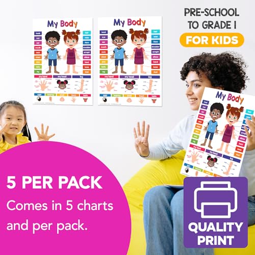 FoldCard My Body Chart Educational Poster 8.5x11 5pk - color: My Body