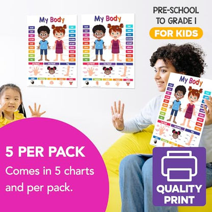 FoldCard My Body Chart Educational Poster 8.5x11 5pk - color: My Body