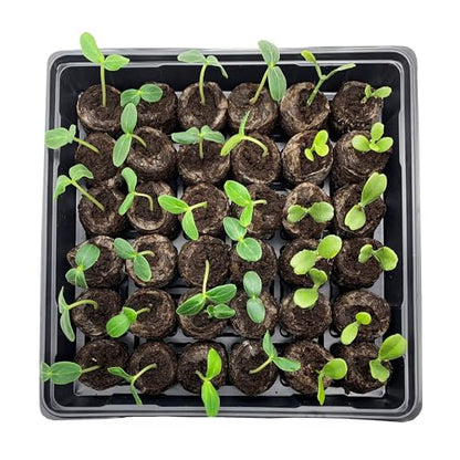 Jiffy Seed Starting Tray Kit - 36 Cell Plant Starter Trays, Portable - 11 x 11 x 4.25 in - 4 Pack - style: 4 Greenhouse Kit