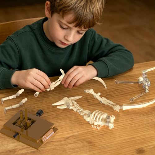 Pterosaur Dinosaur Fossil Building Set, Mechanical Dino Skeleton Model - color: Pterosaur