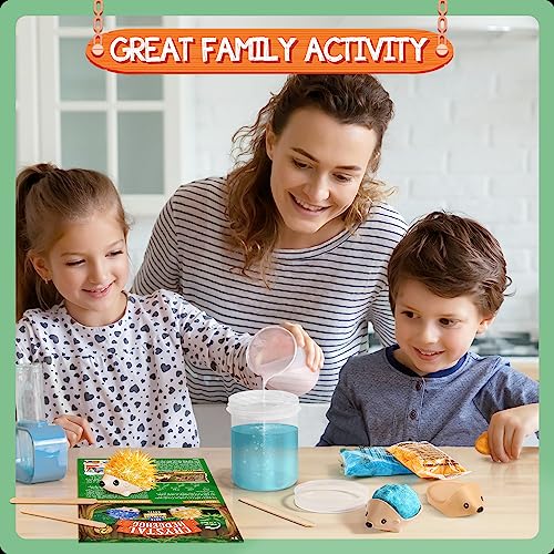 Crystal Growing Kit - 2 Vibrant Hedgehogs Fast 24H, STEM Gift for Kids 6-12 - color: 2 Hedgehog Crystal