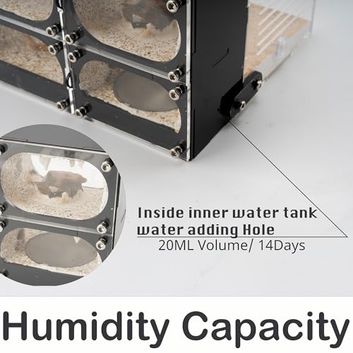 Strata Series - QuadCave Ant Nest with Starter kit - size: QuadCave