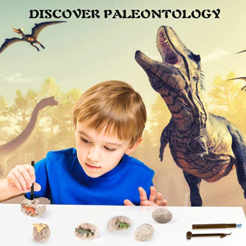 Dinosaur Fossil Digging Kit for Kids, Eggs Excavation Dig Kit, Toys for Kids 5-7 8-12, Great Birthday for Boys and Girls - style: 6 Dino Eggs+A T-Rex Head+A Dino Skeleton