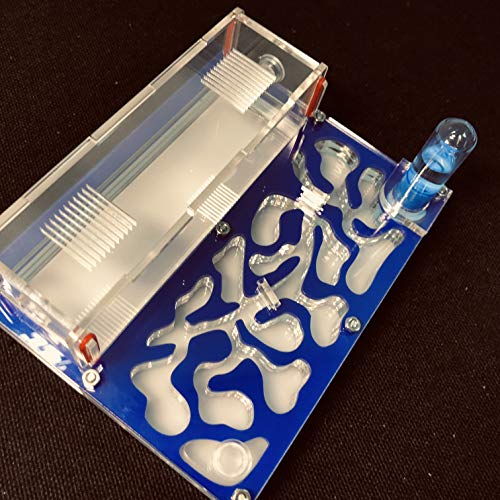 ANT 150mmx110mm Test Tube Moisture Big Space Nest Farm Acrylic, Insect Villa House Ecological Workshop (Blue) - color: Blue