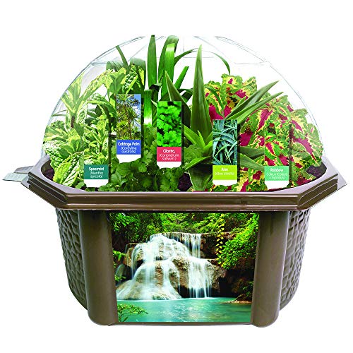 Grow Your Own Sensory Eco-Biosphere Terrarium - Kit is Easy to Grow & Educational - Includes 5 Different Seeds - One for Each Sense!