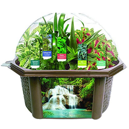 Grow Your Own Sensory Eco-Biosphere Terrarium - Kit is Easy to Grow & Educational - Includes 5 Different Seeds - One for Each Sense!