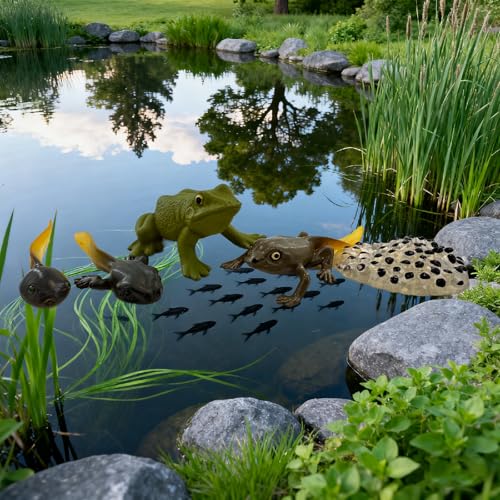 Montessori Life Cycle Animal Figures with Flash Cards, Lifelike Animal Growth Cycle Biological Model Set (Frog) - style: Frog