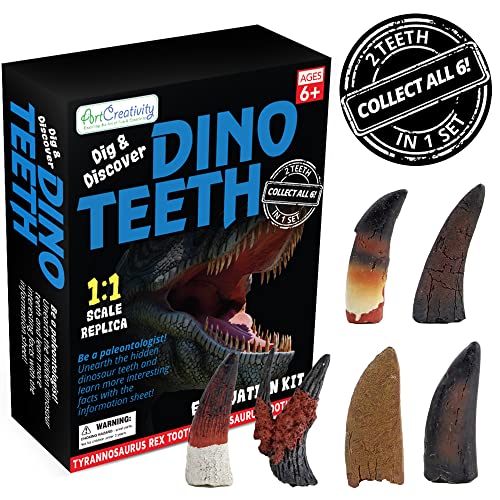 ArtCreativity Dinosaur Dig Kit, T-Rex & Tarbosaurus Fossil Teeth 2-Pack
