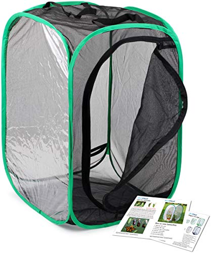 RESTCLOUD Insect and Butterfly Habitat Cage Pop-up 23.6 Inches Tall - color: Black With Green, size: 15.7 x 15.7 x 23.6 inches