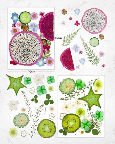 Resiners Dried Pressed Flowers for Resin Molds Scrapbook Supplies - color: Bright Fruit 80pcs