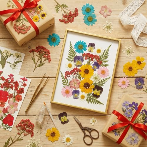 Dried Flowers for Resin, 106pcs Natural Flowers and Leaves Compressed - size: 103 pcs Natural Dried Flowers and Leaves