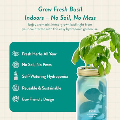 Modern Sprout Mason Garden Jar - Self-Watering Hydroponics Kit - Basil - color: Basil, size: Garden Jars