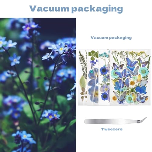 Pressed Flowers112 Pcs, Dried Pressed Flowers with 10Butterfly Stickers - size: 112 pcs Blue Dried Flowers with Butterfly Stickers
