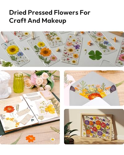 Dried Pressed Flowers, Resiners Dried Flowers for Candle Making Real Natural Pressed Flowers Dry Leaves Kit for DIY Crafts Resin Soap Scrapbook Card Making Jewelry (Gerbera Daisy 100pcs) - color: Bold Gerbera 100pcs