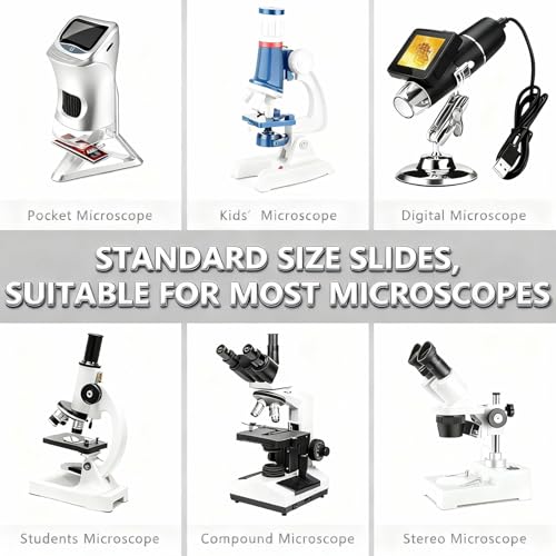 30 Lab-Grade Prepared Microscope Slides