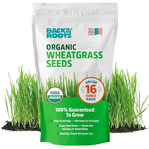 Back to the Roots 100% Organic Wheatgrass Seeds | 1 Pound Non-GMO | Nutrient Dense, Easy to Grow | Cat Grass Planter Seeds - color: Wheatgrass 1lb
