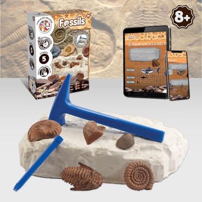 Science4you Fossil Digging Kit for Kids – Archeology, Excavation and Paleotology Kits for Kids, Fossil Dig, Stem Toy and Gift for Boys and Girls Age 6 7 8-12+ - style: 2. Fossil Excavation Kit