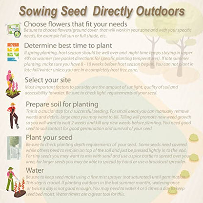 Outsidepride Tropical Milkweed Seeds - 2000 Pcs Perennial, Heat & Humid Tolerant, Pollinator-Friendly Wildflower Seeds, Ideal for Monarch Butterflies, Cut Flowers, Borders, or Meadows (Pack of 3) - size: 2000 Seeds (Pack of 3)