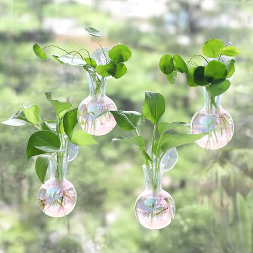 Bunmery 4 pcs Iridescent Window Propagation Stations, Easy to Install Plant Propagation Bulbs with Suckion Cups, No Nails Wall Hanging Planter Propagation Station, Glass Plant Terrarium Vase - color: Iridescent Bulb, size: 4 PCS