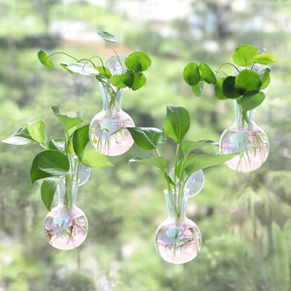 Bunmery 4 pcs Iridescent Window Propagation Stations, Easy to Install Plant Propagation Bulbs with Suckion Cups, No Nails Wall Hanging Planter Propagation Station, Glass Plant Terrarium Vase - color: Iridescent Bulb, size: 4 PCS